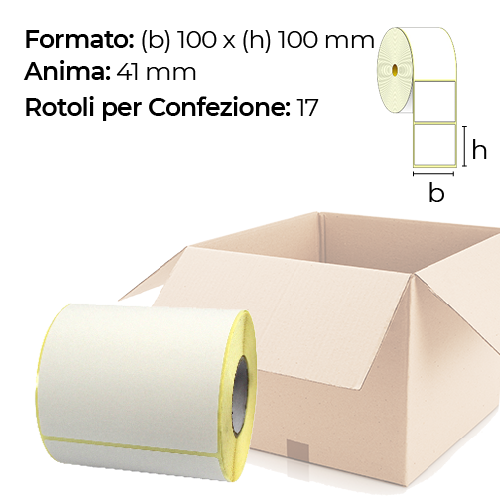 Confezione da 17 rotoli di etichette a trasferimento termico 100×100 mm Ø41