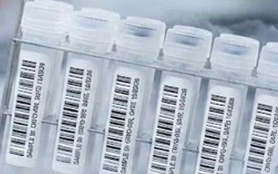 Etichette per Criogenia